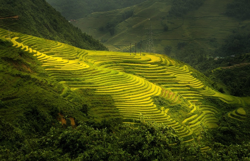 Hãy mở rộng ý cho bài nói bằng cách thêm thông tin thú vị