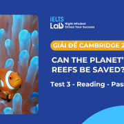 Giải đề Cambridge IELTS 20: Can the planet’s coral reefs be saved? – Test 3, Reading Passage 2