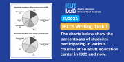 IELTS Writing Task 1 Pie Chart: Adult Education Courses – Bài mẫu